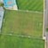An aerial view of a sports complex featuring multiple green grass fields, including football pitches with marked goalposts. Adjacent to the fields is a blue-roofed building and a smaller area with a tennis or basketball court. Surrounding the complex, there's a road lined with trees and a dirt area with sparse vegetation.
